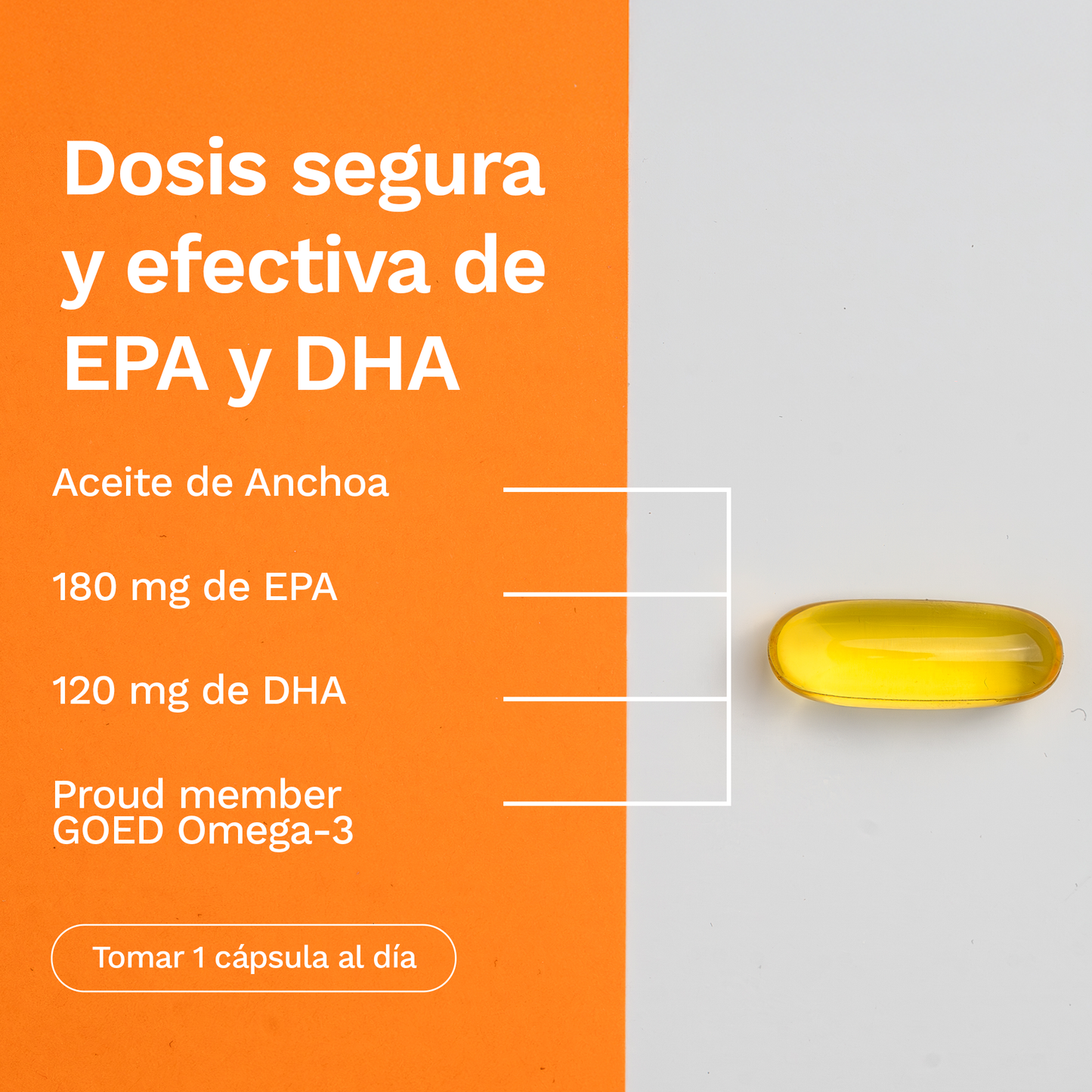 Omega 3 Fish Oil