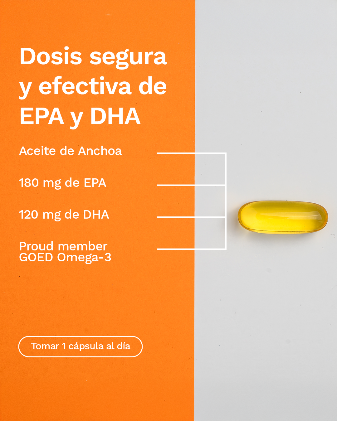 Omega 3 Fish Oil